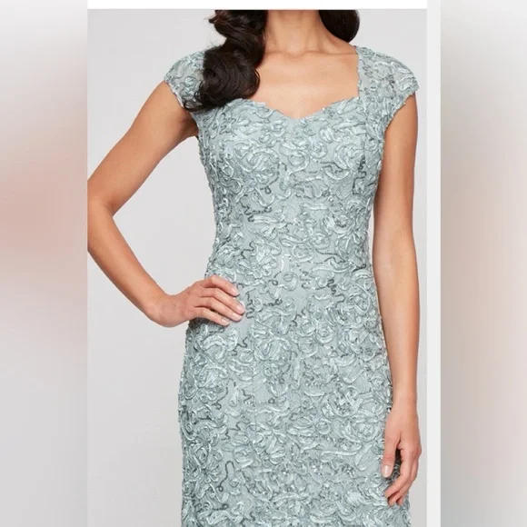 Alex Evenings ELEANOR SWEETHEART NECK DRESS NWT Size 10 Retail $299 - Picture 3 of 11